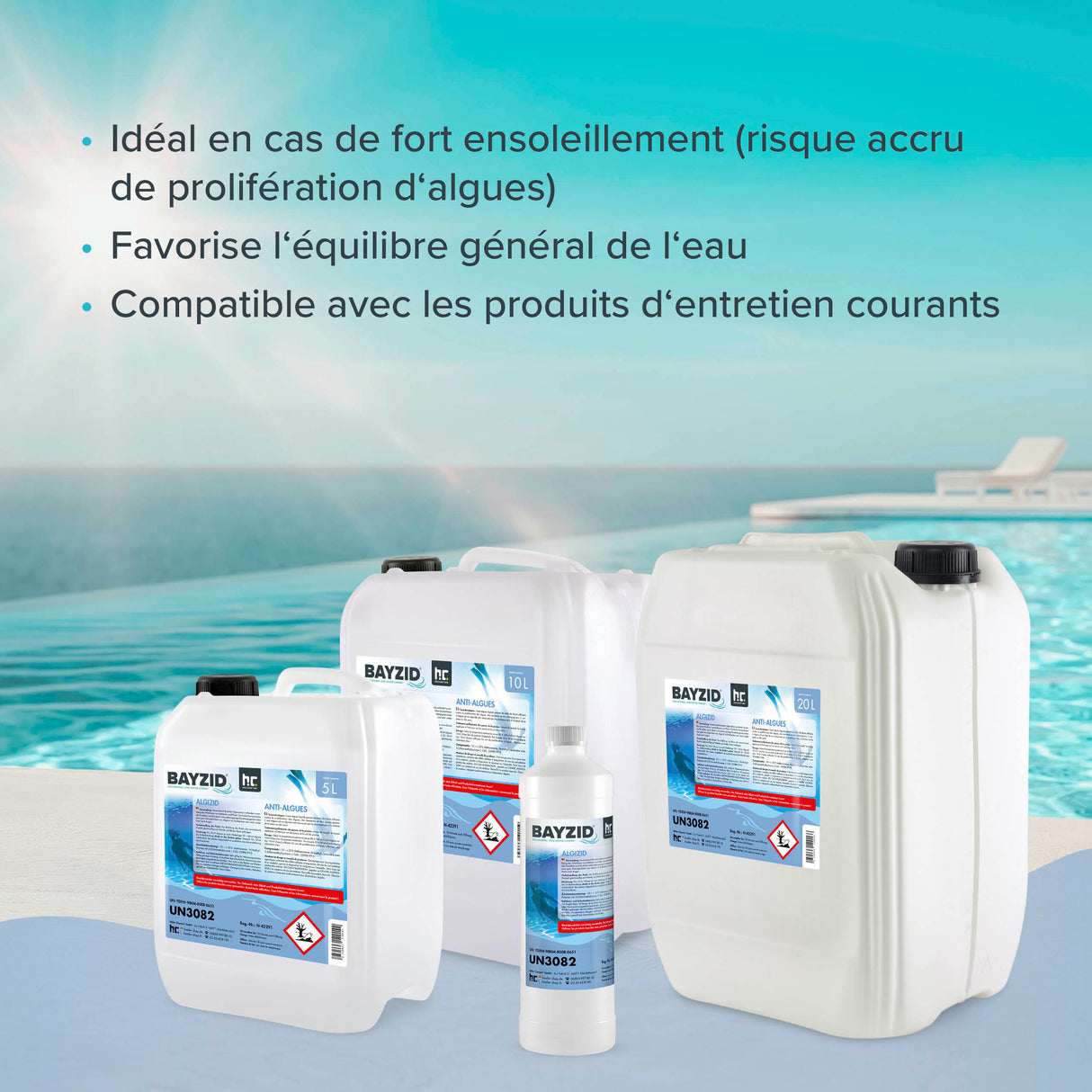 1 L BAYZID® Algizid Algenverhütung