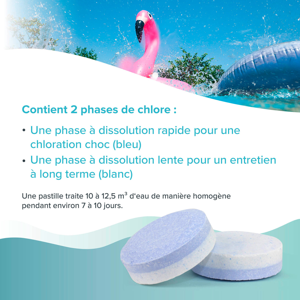 5 kg BAYZID® Multitabs à 2 phases 6in1, 200g