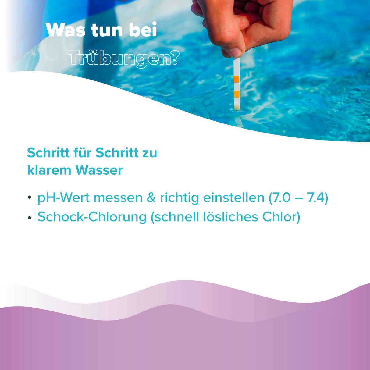 1 L BAYZID® Poolclear élimination de la turbidité