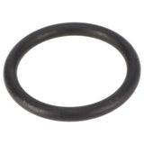 Dichtring 2 1/4" für Übergang Ventil/Kessel Filteranlage Hawaii