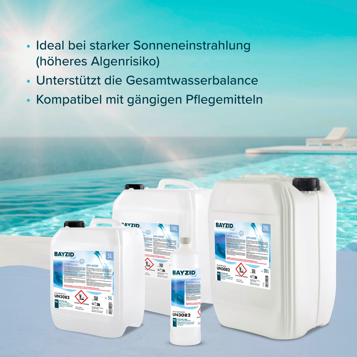 5 L BAYZID® Algicide Prévention des algues