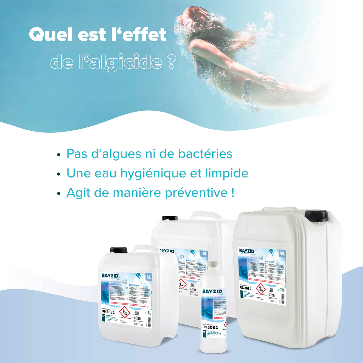 10 L BAYZID® Algizid Algenverhütung