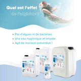 10 L BAYZID® Algizid Algenverhütung