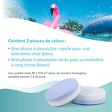 5 kg BAYZID® Multitabs à 2 phases 6in1, 200g