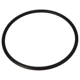 O-Ring für Klarsichteinsatz 105 x 5 mm AquaPlus und Magic II