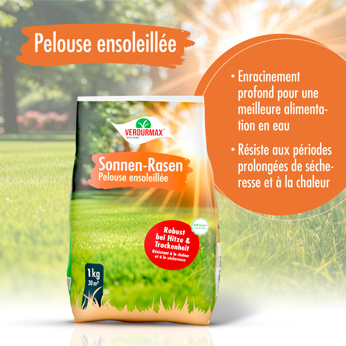 1 kg VERDURMAX® Trockenrasen Samen