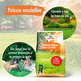 1 kg VERDURMAX® Trockenrasen Samen